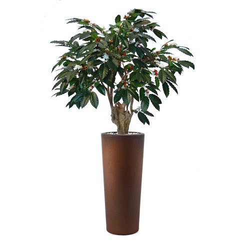 Planta semi-artificiala Ila, Coffee Kaveri Green Red - 200 cm